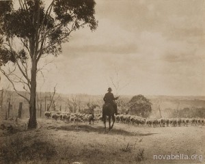 Australian_Stock_Route_(Berrima_district)_1925