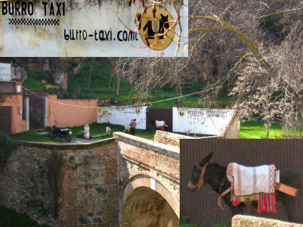 Burro Taxi en Granada
